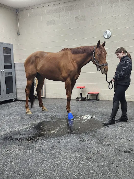 Cleveland Equine Clinic 7