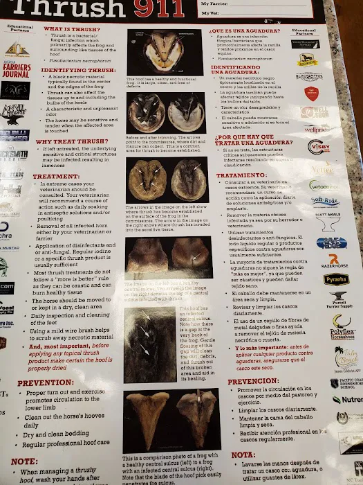 Cleveland Equine Clinic 10