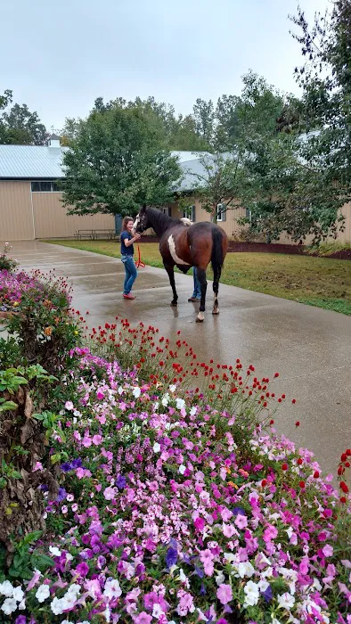 Cleveland Equine Clinic 8