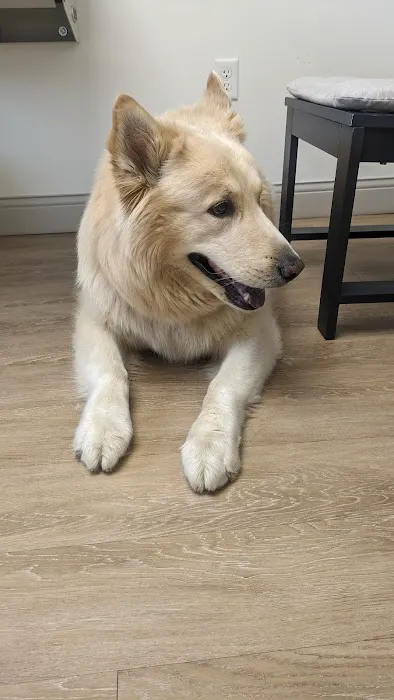 Richardson Animal Hospital 4