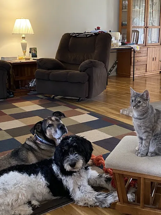 Richardson Animal Hospital 2