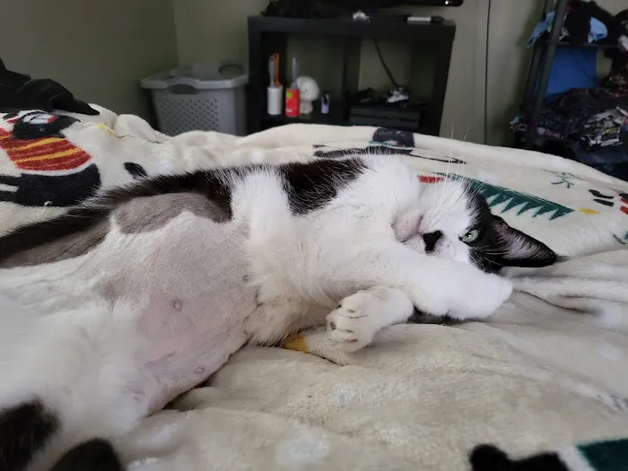 Richardson Animal Hospital 7