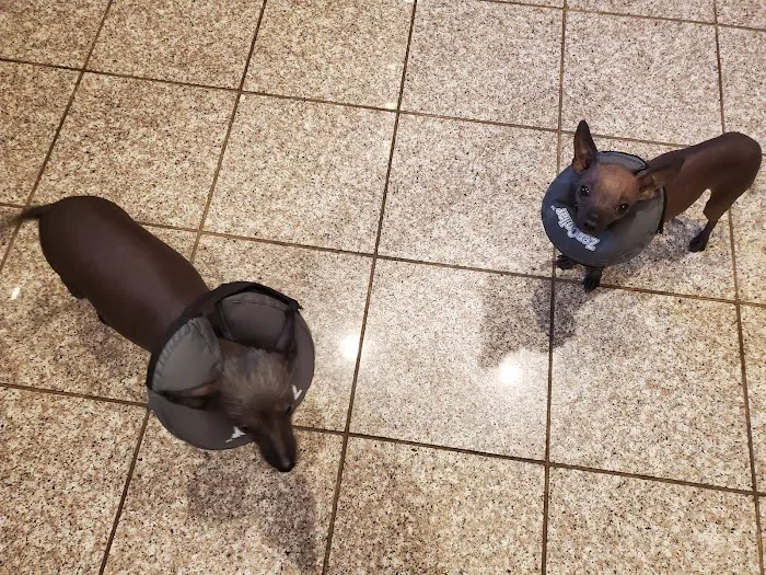 Hillcrest Animal Hospital 3