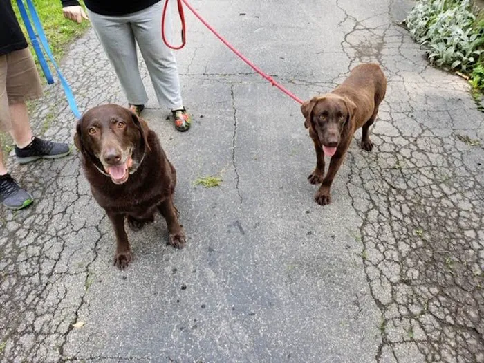 Hillcrest Animal Hospital 8