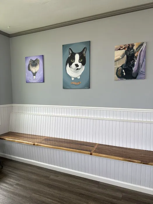 Mayfield Pet Hospital 7