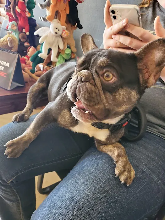 General Vet Clinic 1