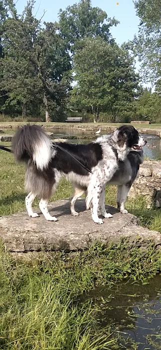 General Vet Clinic 8
