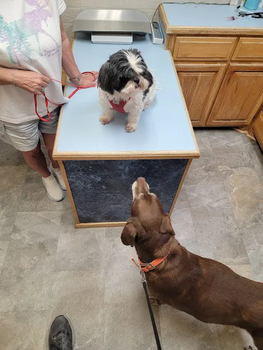 West Plains Veterinary Clinic 1