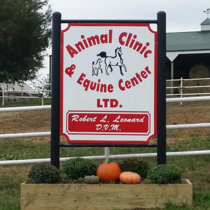 Animal Clinic & Equine Center 2