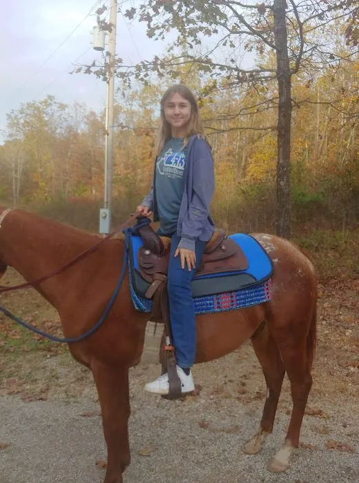 Animal Clinic & Equine Center 5