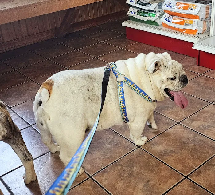 Aurora Animal Clinic 1