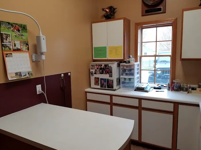 Aurora Animal Clinic 2