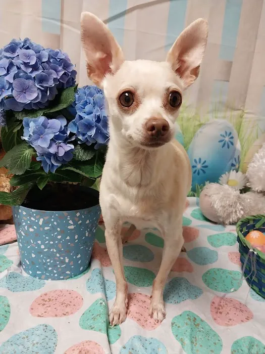 Aurora Animal Clinic 7