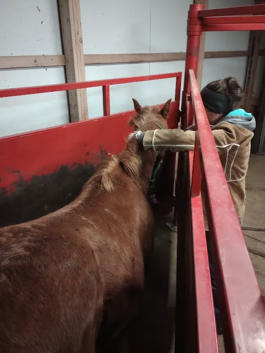 Countryside Animal Clinic 2