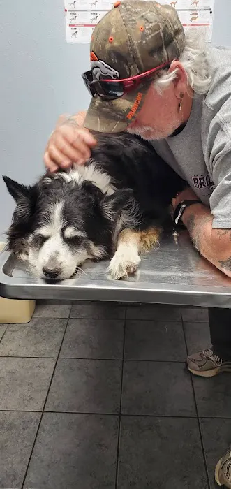 Animal Clinic of Monett 5