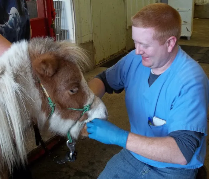 Animal Clinic of Monett 10