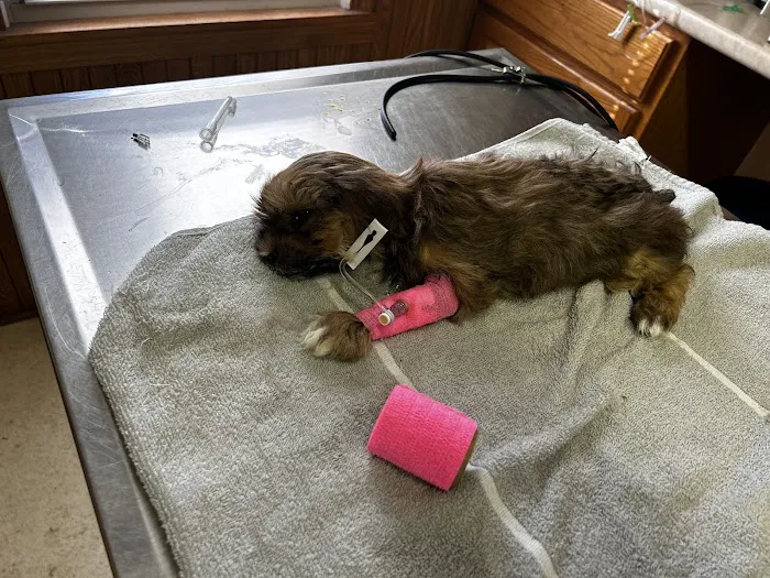 Meller-James & Associates Veterinary Services 5