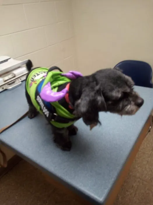 Meller-James & Associates Veterinary Services 9