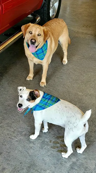 Hawthorne Animal Clinic 4