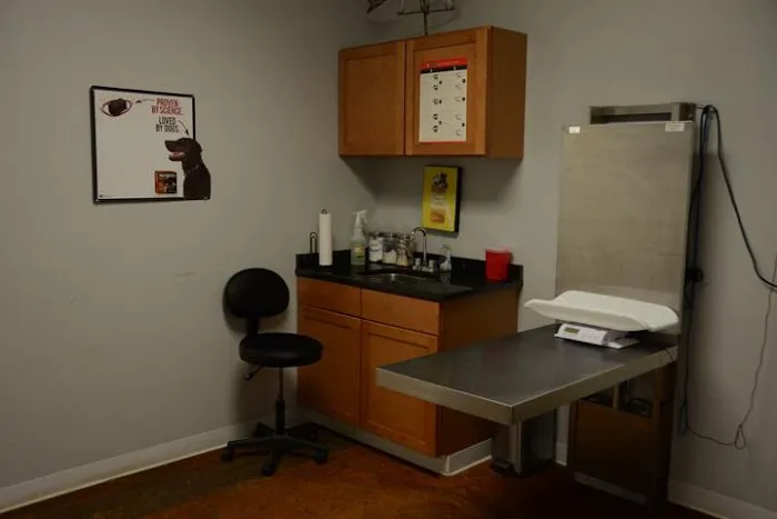 The Animal Doctor 2