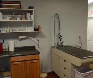 The Animal Doctor
