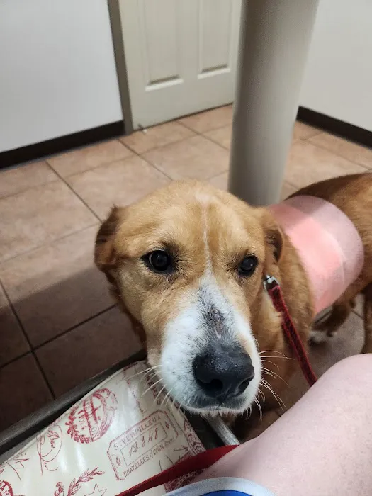 Mineral Wells Animal Clinic 2