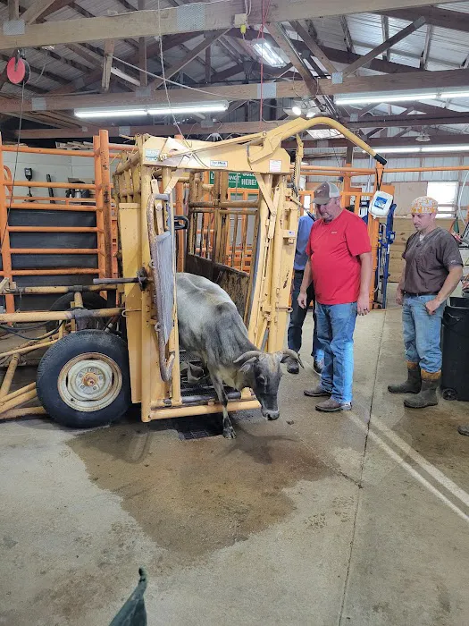 Mineral Wells Animal Clinic 1