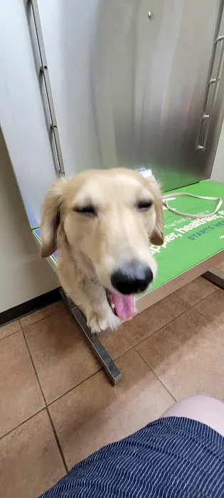 Mineral Wells Animal Clinic 8