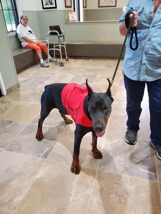 Camden Animal Clinic 1