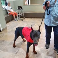 Camden Animal Clinic ico