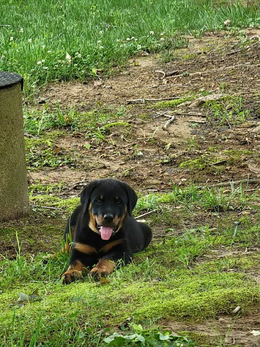 Camden Animal Clinic 4
