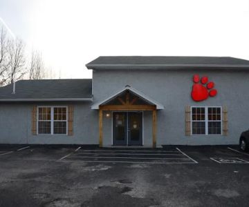 The Animal Doctor