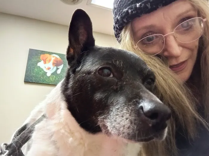Ward Animal Clinic 1