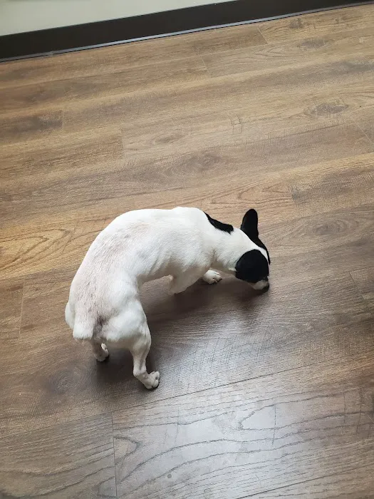 Ward Animal Clinic 3
