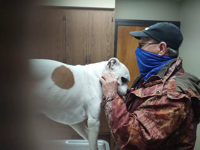 Ward Animal Clinic 7