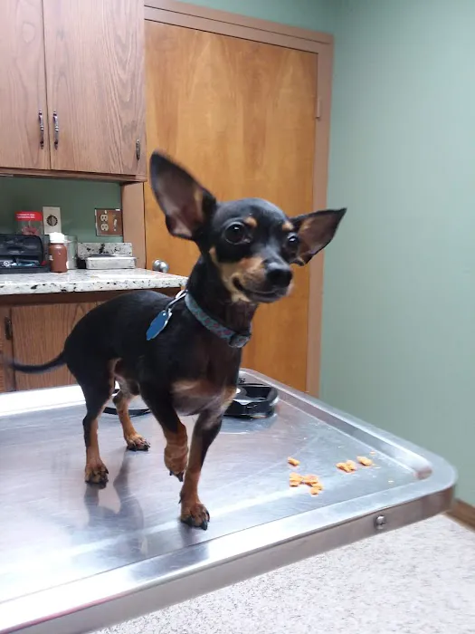 Ward Animal Clinic 8