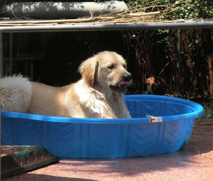 Taylor Animal Hospital 4