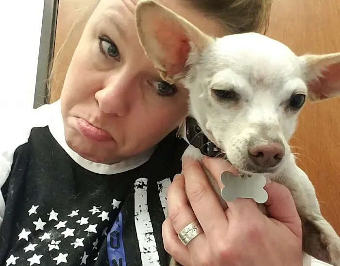 Taylor Animal Hospital 8
