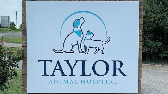 Taylor Animal Hospital 7