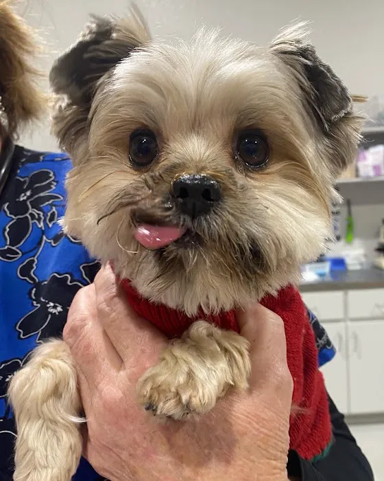 Granger Veterinary Hospital 2