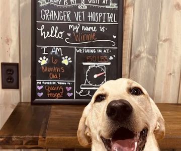 Granger Veterinary Hospital