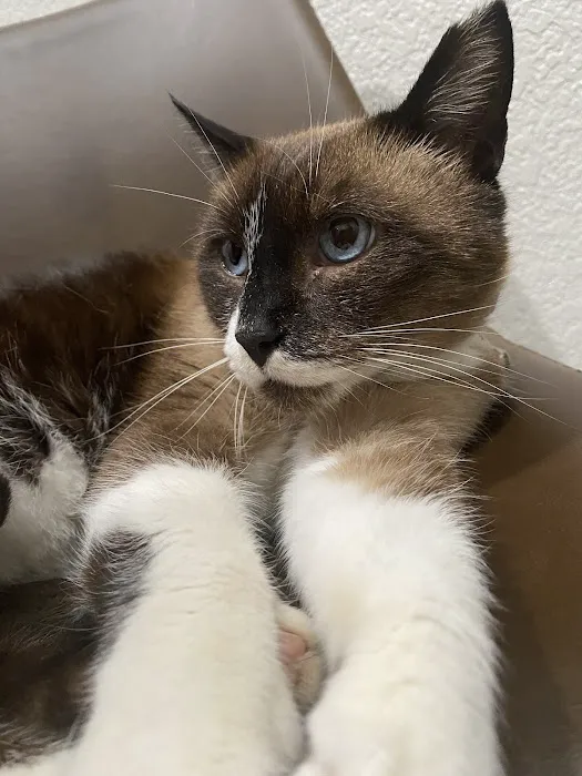 Granger Veterinary Hospital 4