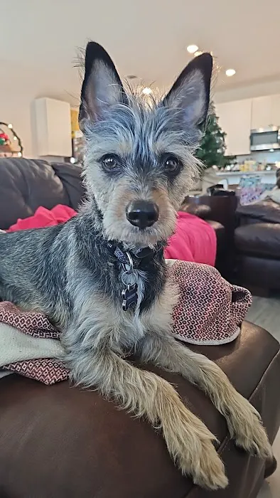 Granger Veterinary Hospital 9