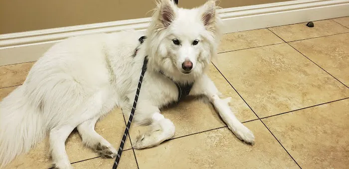 Evergreen Animal Care Center 1