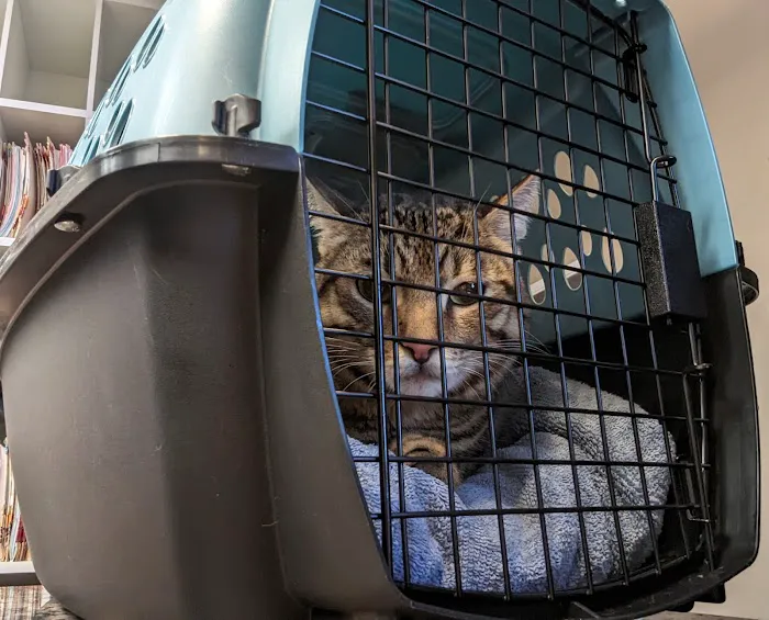 Evergreen Animal Care Center 8