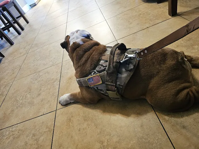 Evergreen Animal Care Center 4