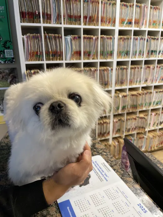 Evergreen Animal Care Center 10