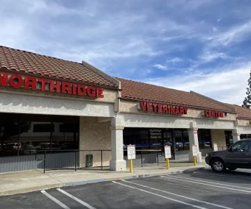 Northridge Veterinary Center