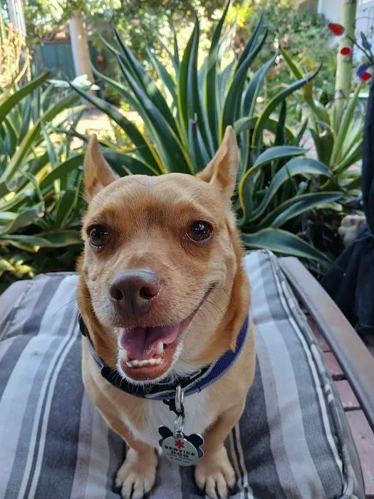 Northridge Veterinary Center 6