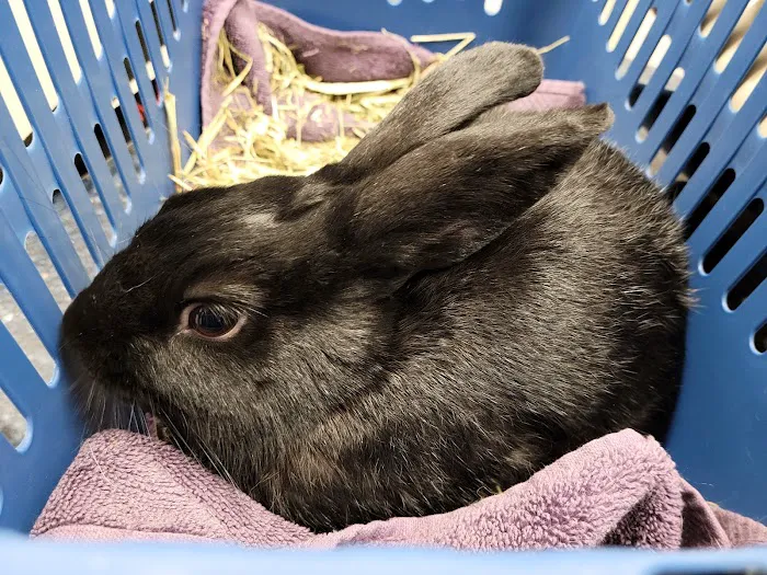 Northridge Veterinary Center 8
